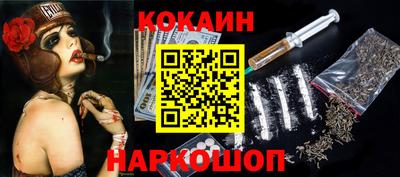 шишки Можга