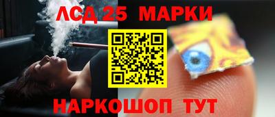 гидра Моздок
