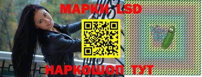 шишки Можга