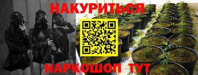 гидра Моздок