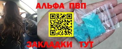 шишки Можга
