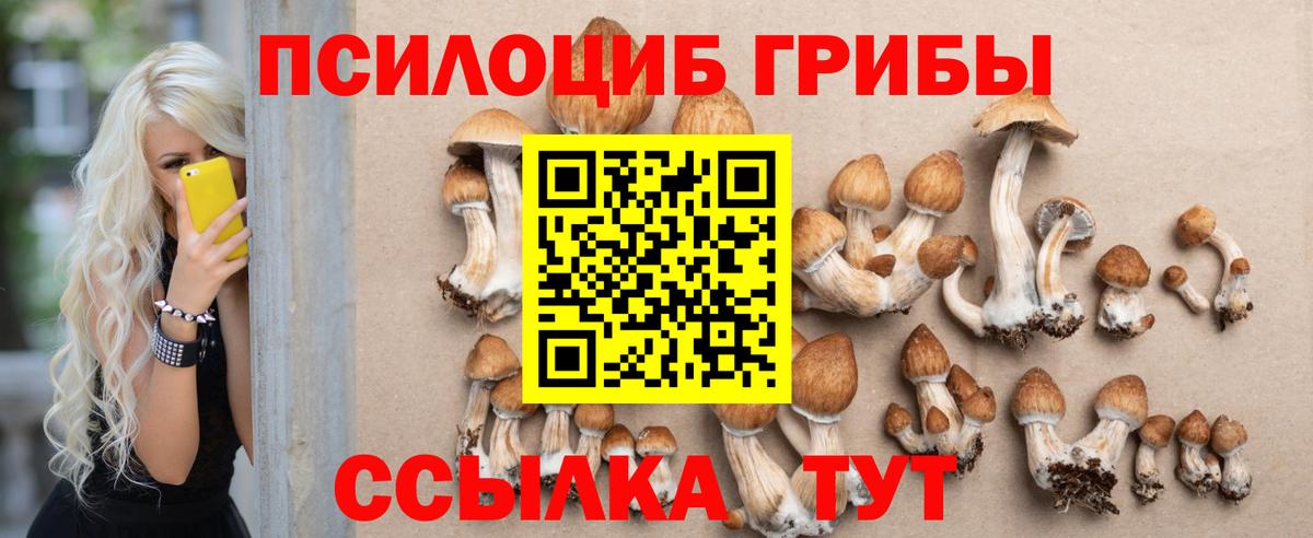 Псилоцибиновые грибы Cubensis Волжский